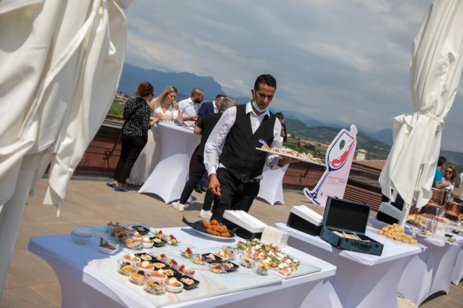 Bardolino: tasting of 6 red Valpolicella and Garda wines - Discovering the Heart of Lake Garda’s Red Wines