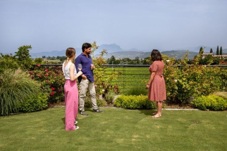 Bardolino: Vineyard Tour with Wine and Food Tasting - Final Thoughts: Who Should Consider This Experience?