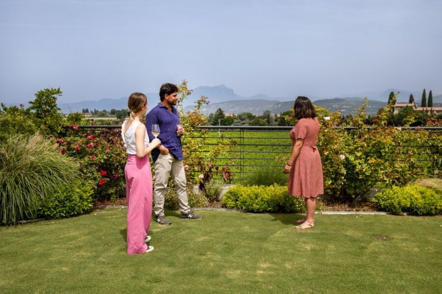 Bardolino: Vineyard Tour with Wine and Food Tasting - Final Thoughts: Who Should Consider This Experience?
