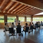 Bardolino: Vineyard Tour with Wine, Olive Oil & Food Tasting - Final Thoughts: Why This Tour Is a Strong Choice
