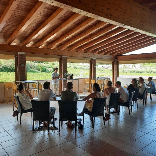 Bardolino: Vineyard Tour with Wine, Olive Oil & Food Tasting - Final Thoughts: Why This Tour Is a Strong Choice