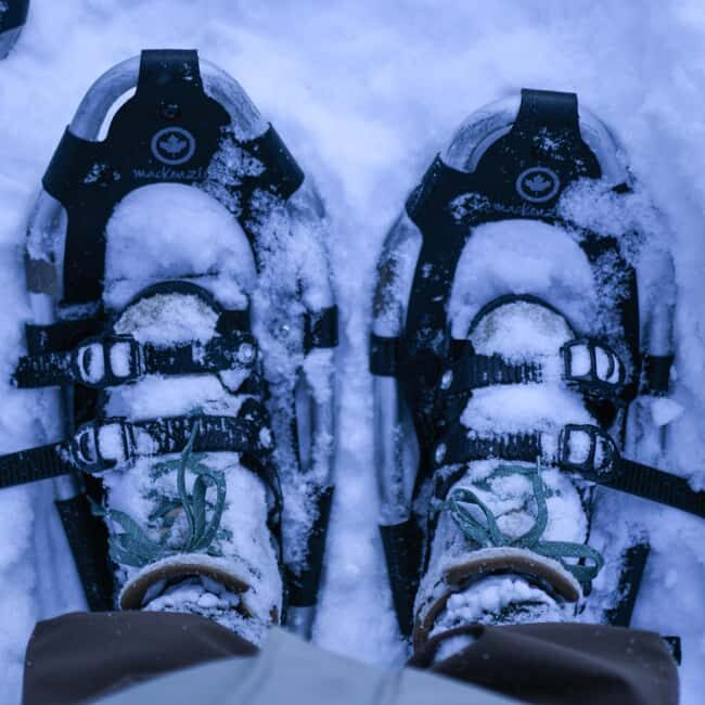 Bardufoss: Snowshoeing and Northern Lights Adventure - Frequently Asked Questions