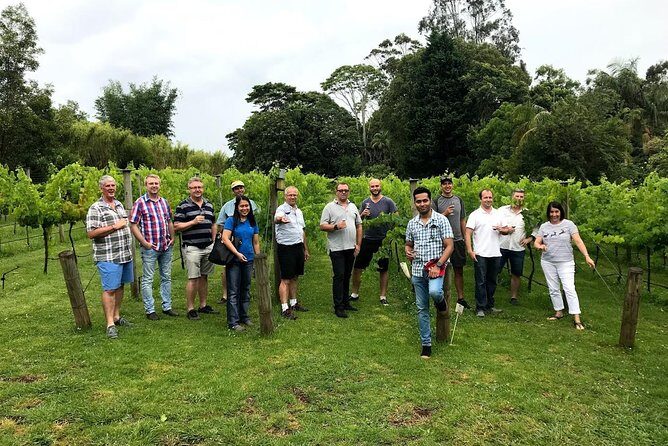 Barefoot Luxury Mount Tamborine Winery Tour from Brisbane - Frequently Asked Questions