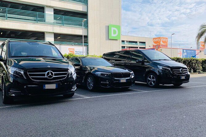 Bari Cruise Port to Bari Intl Airport (BRI) - Departure Private Transfer - What Makes This Transfer Stand Out