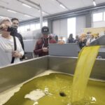 Barletta-Andria-Trani: oil mill tour and oil tasting - Why This Tour Offers Great Value