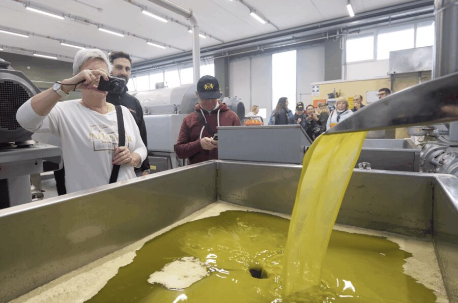 Barletta-Andria-Trani: oil mill tour and oil tasting - Why This Tour Offers Great Value