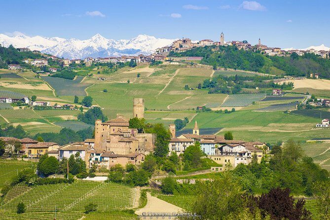 Barolo & Barbaresco Wine Tour with a Winemaker - Who Will Love This Tour?