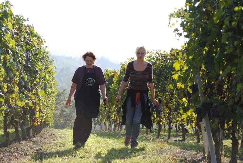 BAROLO: GUIDED VISIT TO THE WINERY AND TASTING WITH THE PRODUCER - A Deep Dive into the Barolo Experience at Virna Borgogno