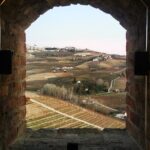 Barolo wine Tasting, Alba, UNESCO Castle: Small Group from Milan - FAQs