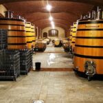 Barolo&Barbaresco wine tour with a local winemaker - The Complete Breakdown of the Tour Experience