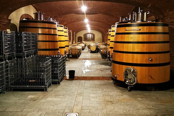 Barolo&Barbaresco wine tour with a local winemaker - The Complete Breakdown of the Tour Experience