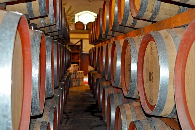 Barossa and Hahndorf Wine Tasting and Sightseeing Tour - What You’ll Experience