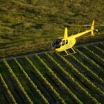 Barossa Valley: 20-Minute Scenic Helicopter Flight - Who Should Consider This Experience?