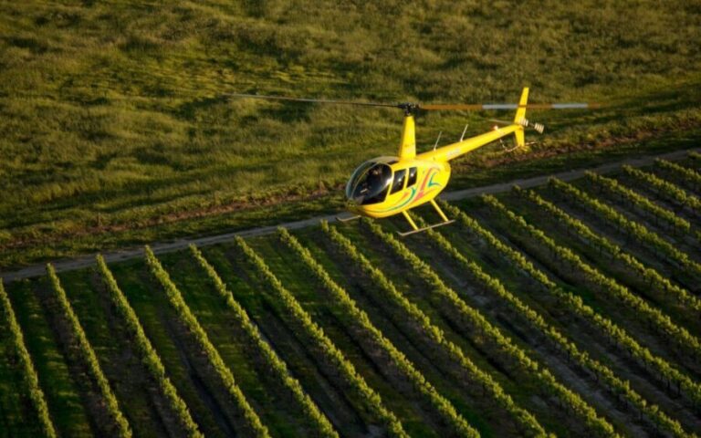 Barossa Valley: 20-Minute Scenic Helicopter Flight - Who Should Consider This Experience?