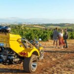 Barossa Valley: 3.5hr Trike Tour For 2 - Itinerary Breakdown: What to Expect
