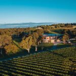 Barossa Valley: Canape and Wine Pairing at Lambert Estate - A Deep Dive into the Lambert Estate Canape and Wine Pairing Experience