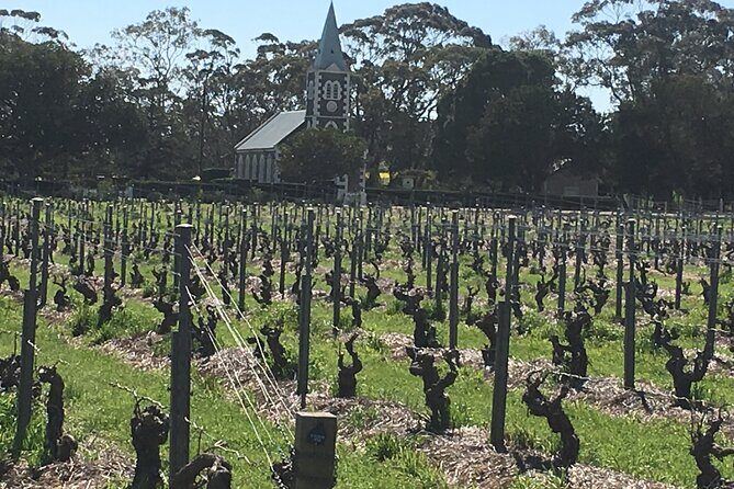 Barossa Valley Private Luxury Tour - The Sum Up