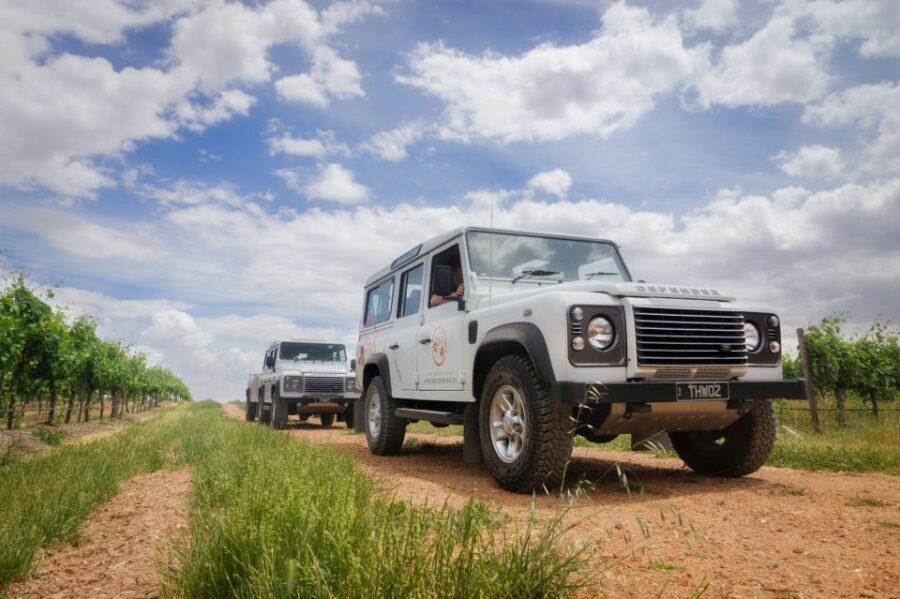 Barossa Valley: Two Hands Flagship Vineyard Experience - What Makes This Tour Stand Out?