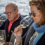 Barrel Tasting - Quinta de Santa Cristina Vinho Verde - Why This Tour Is Worth Considering