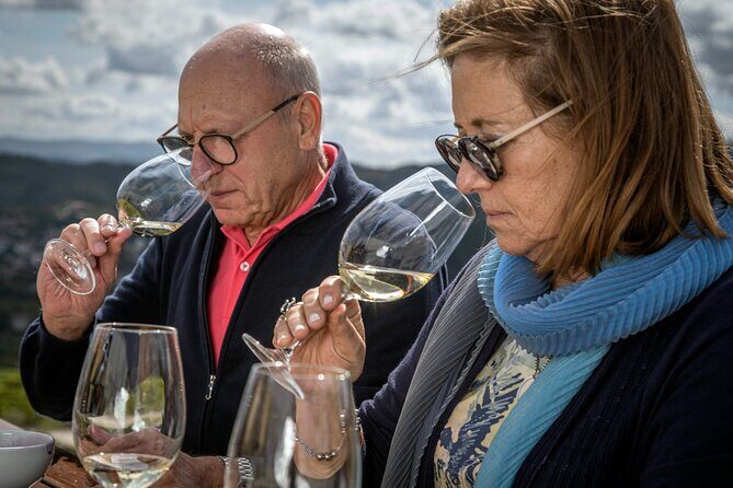 Barrel Tasting - Quinta de Santa Cristina Vinho Verde - Why This Tour Is Worth Considering