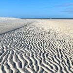 Barrier Island Shelling Tour - Authentic Experiences & What Travelers Say