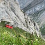 Basel Private tour - Mt. Pilatus and Cruise on Lake of Lucerne - Authentic Experiences and Highlights