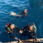 Basic Scuba Diver - The Sum Up