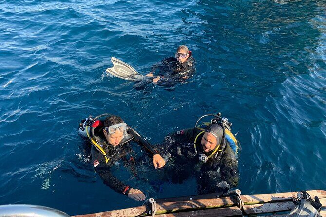 Basic Scuba Diver - The Sum Up