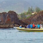 Basic Tour 1 - Cais do Sardinha to Quinta do Lorde (one way) - The Value and Who It’s Best For