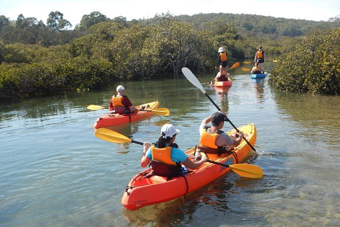 Batemans Bay Glass-Bottom Kayak Tour Over 2 Relaxing Hours - Frequently Asked Questions