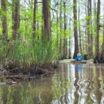 Baton Rouge: Kayak Tour Through the Historic Atchafalaya - Frequently Asked Questions