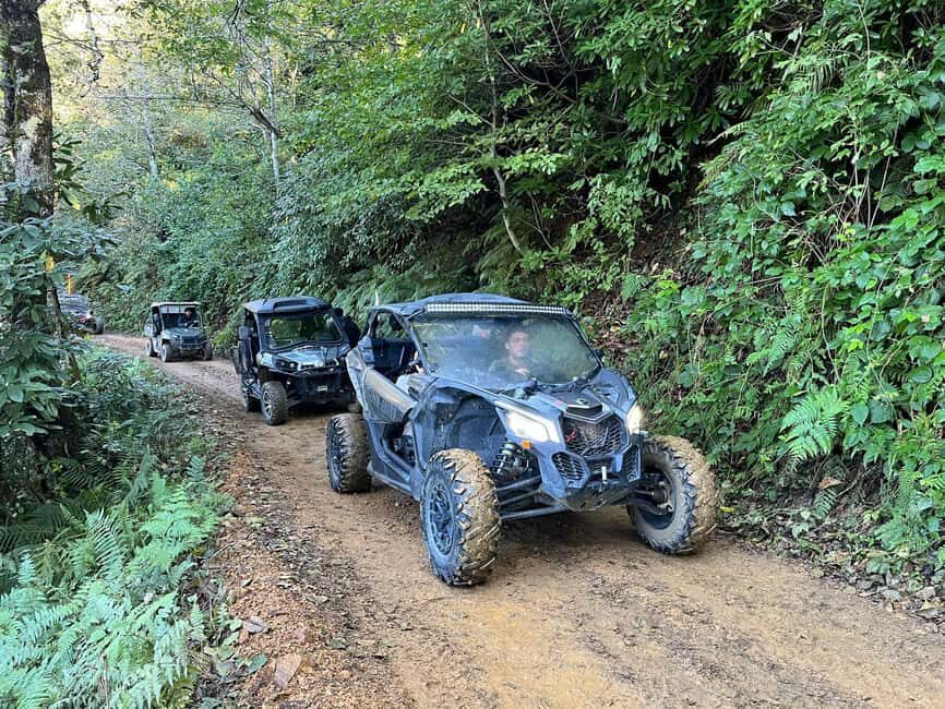 Batumi: Mtirala ATV, Buggy Maverick & Horse Riding Trip - Who Should Book This Tour?