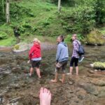 Batumi: Sweet Excursion and Mtirala Forest - Final Thoughts