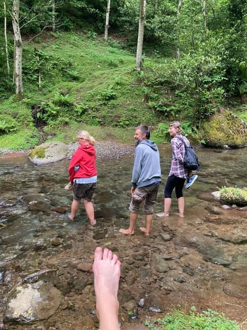 Batumi: Sweet Excursion and Mtirala Forest - Final Thoughts