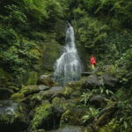 Batumi to Mtirala National park - Half day hiking group tour - A Detailed Look at the Mtirala National Park Hike
