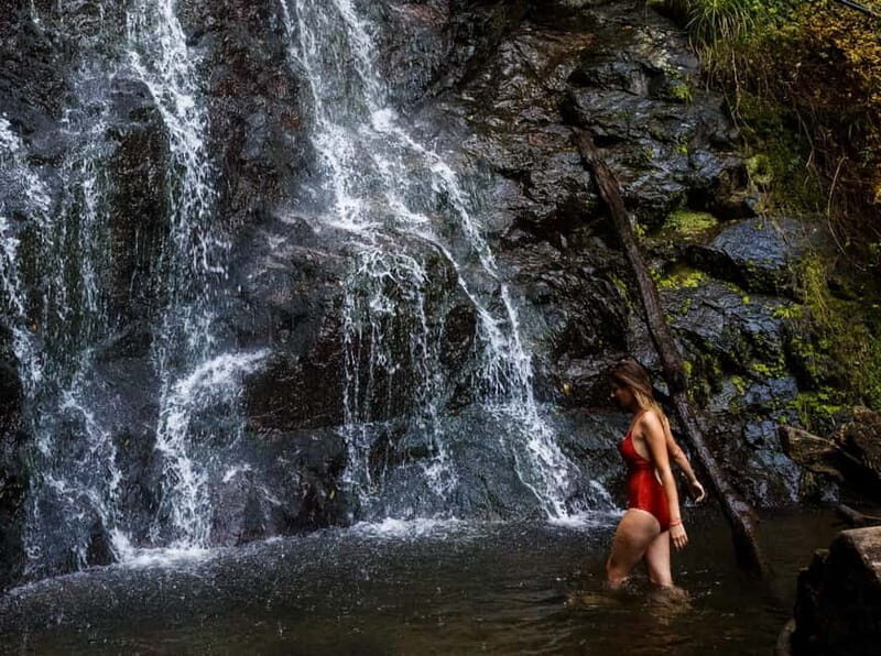 Batumi, Waterfalls & Folklore - group tour from Kutaisi - A Detailed Look at the Tour Experience
