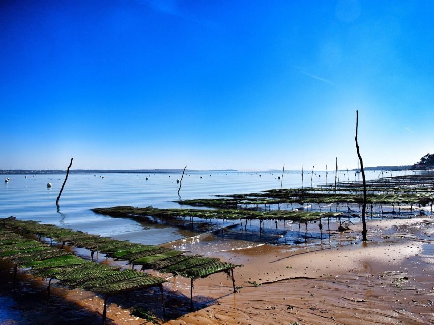 Bay of Arcachon: Guided Food Tour - A Genuine Taste of Cap Ferret’s Coastal Charm