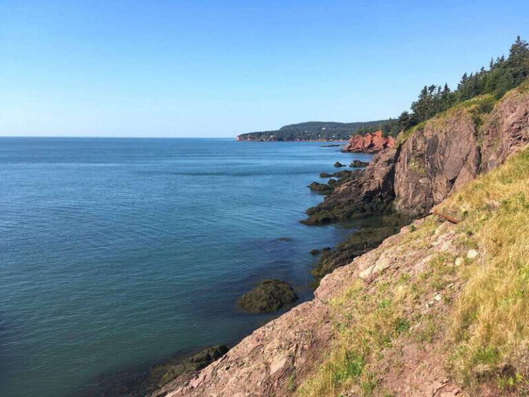 Bay of Fundy Tour by Luxury Car - Analyzing Value and Practicality