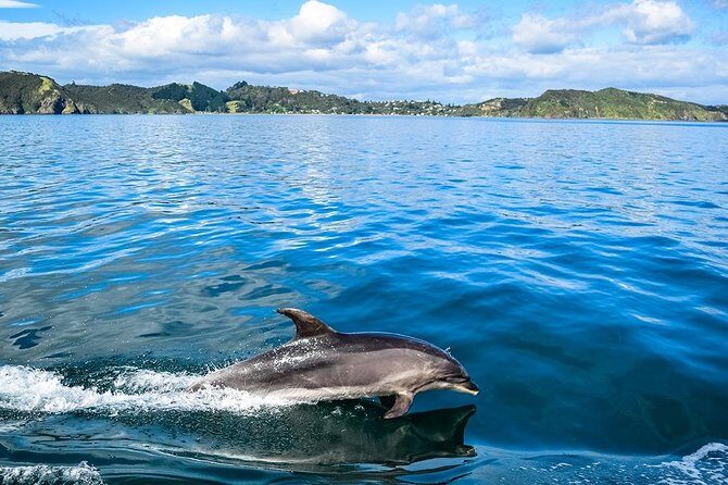 Bay of Islands 2-Day Small Group Tour & Cruise from Auckland - Authentic Experiences and Authentic Guides