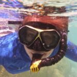 Bay of Islands: 4.5 Hour Day Cruise and Island Getaway Tour - A Detailed Look at the Tour Experience