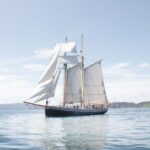 Bay of Islands: Full-Day Tall Ship Sailing Excursion - The Sum Up