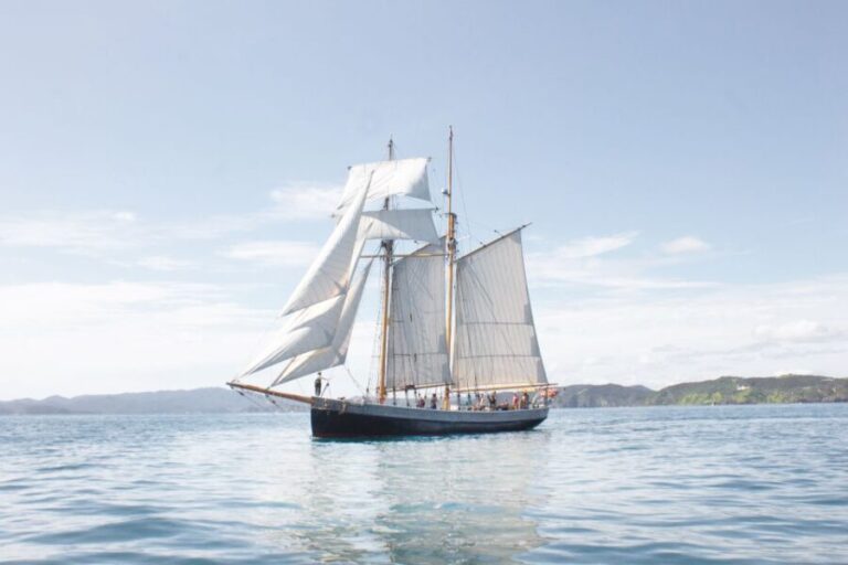 Bay of Islands: Full-Day Tall Ship Sailing Excursion - The Sum Up