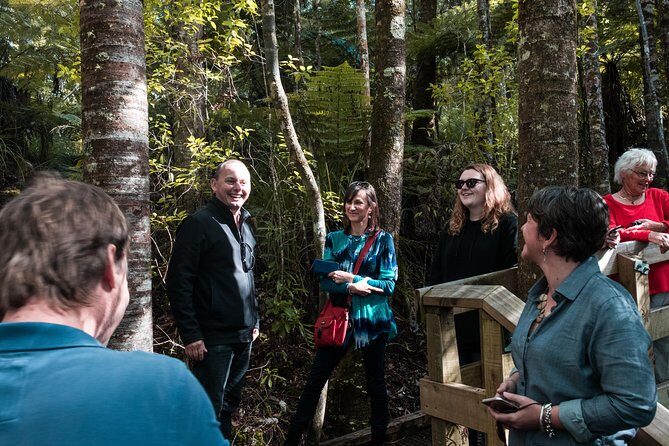 Bay of Islands Glow Worm Caves & Scenic Shore Excursion - The Itinerary in Detail