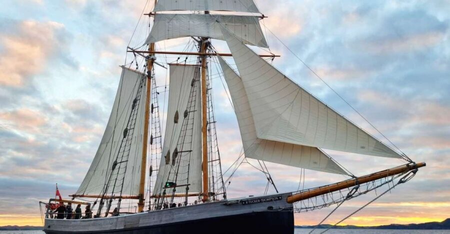 Bay of Islands: Late Afternoon Sailing Cruise - An In-Depth Look at the Bay of Islands: Late Afternoon Sailing Cruise
