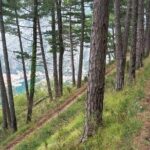 Bay of Kotor hiking experience - Montenegro Travel Club private tour - Who Will Love This Tour?