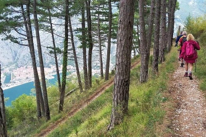Bay of Kotor hiking experience - Montenegro Travel Club private tour - Who Will Love This Tour?