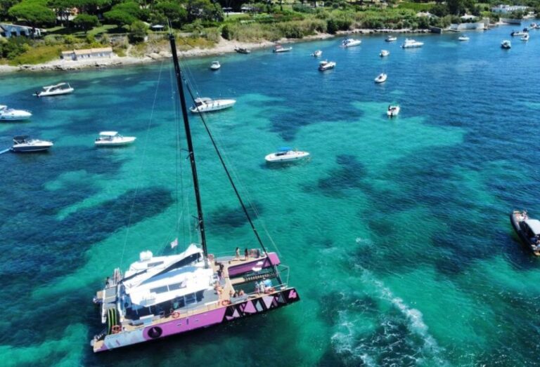 Bay of Quiberon or Morbihan gulf: Evening 2 hours navigation - Who Should Consider This Experience?