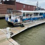 Baywatch Dolphin Tour - An In-Depth Look at the Galveston Dolphin Experience