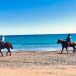 Beach and Desert Scenic Horseback Ride in Baja California Sur - Practical Aspects and Value