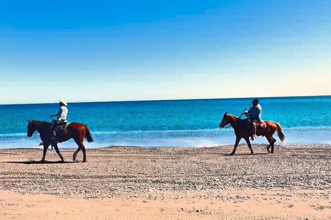 Beach and Desert Scenic Horseback Ride in Baja California Sur - Practical Aspects and Value